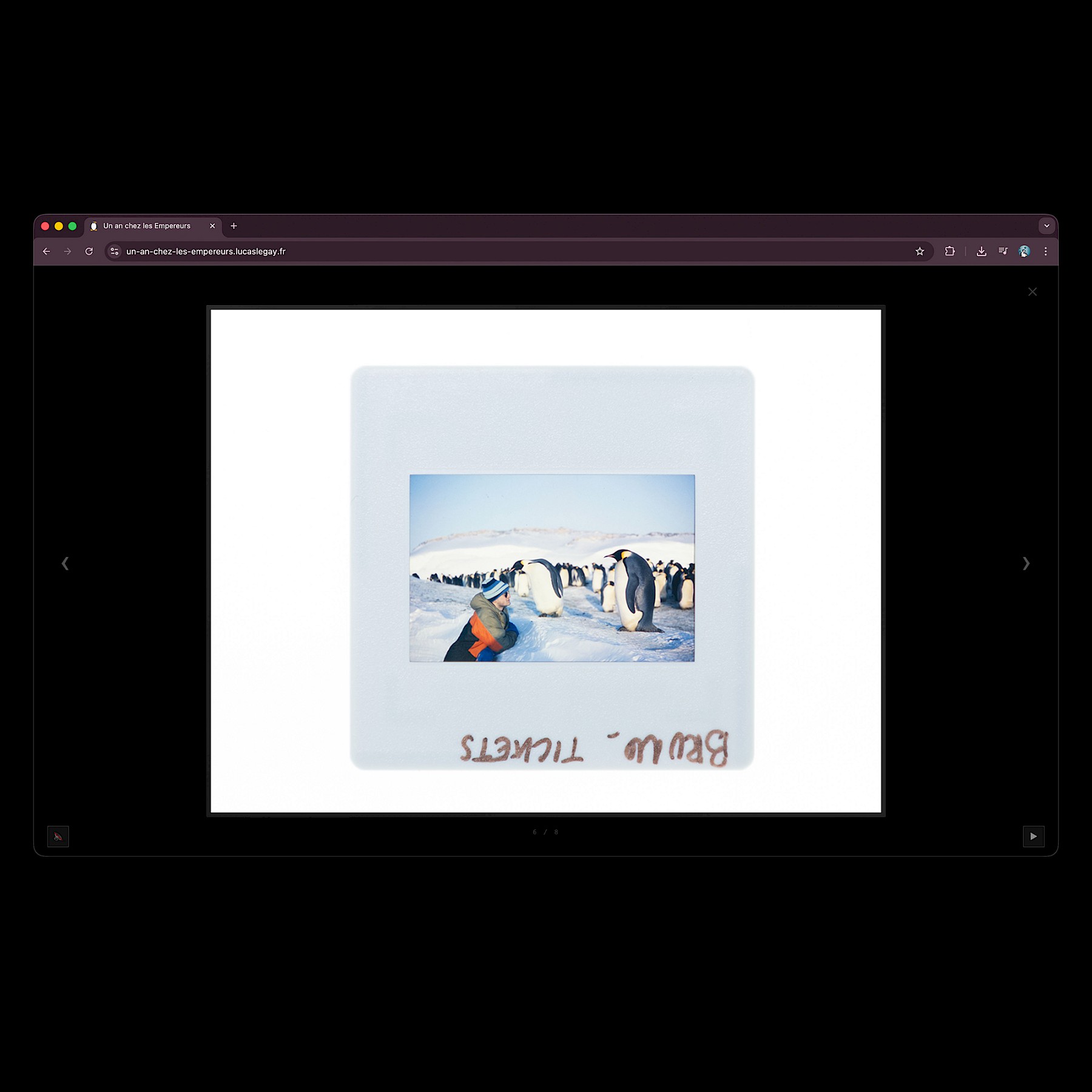 Un an chez les Empereurs - site web