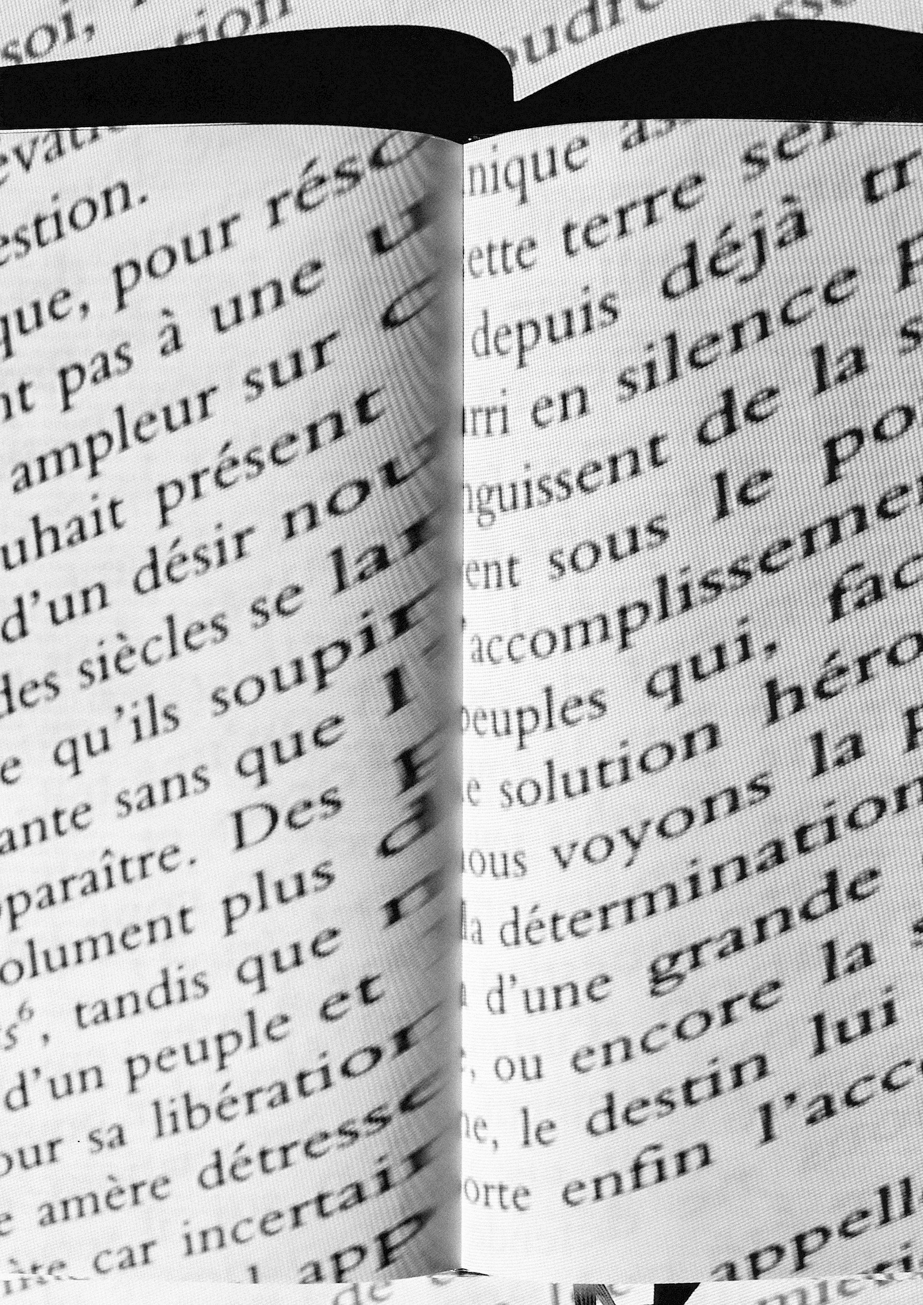 Biennale Exemplaires 2026